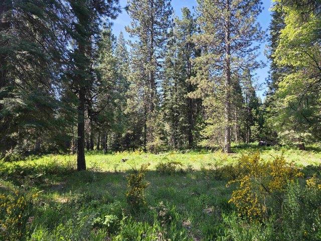 Land for sale in Mccloud, California