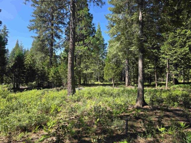 Land for sale in Mccloud, California
