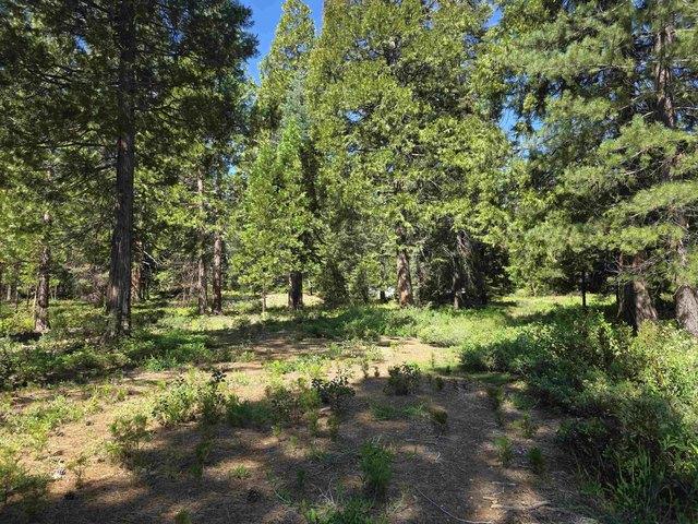 Land for sale in Mccloud, California