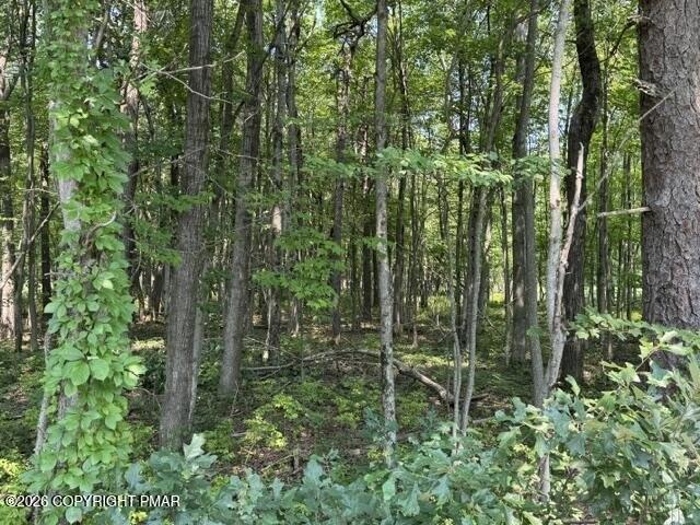 Land for sale in Carbon, Pennsylvania