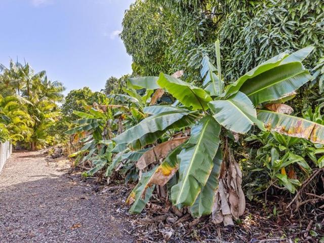 Land for sale in Pahoa, Hawaiʻi County