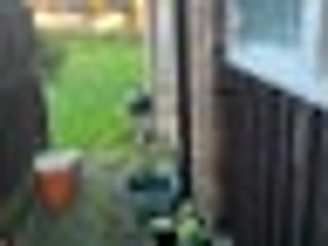 Apartment for rent in Papakura