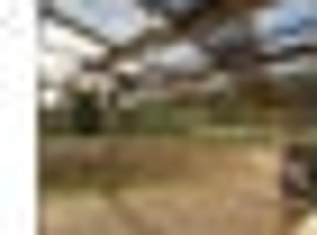 House for rent in Papakura