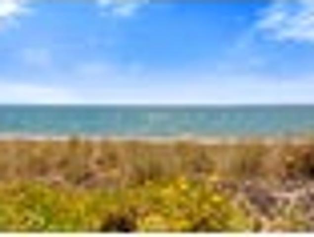 House for rent in Bay Of Plenty