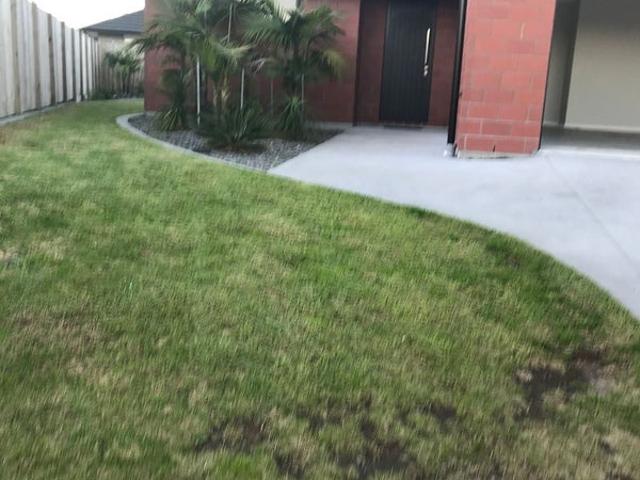 House for rent in Emerald Shores, The Sands / Te Tumu