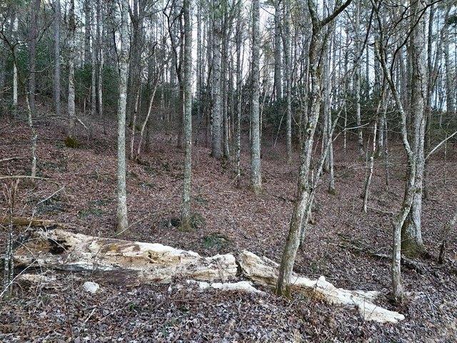 Land for sale in Blairsville, Georgia