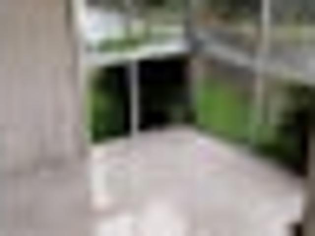 House for rent in East Tamaki