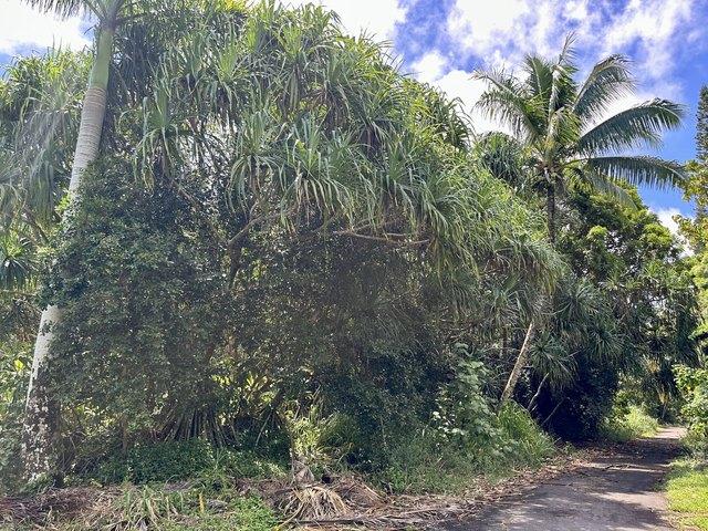 Land for sale in Pahoa, Hawaiʻi County