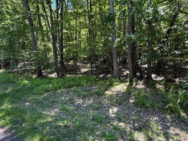 Land for sale in Greentown, Pennsylvania