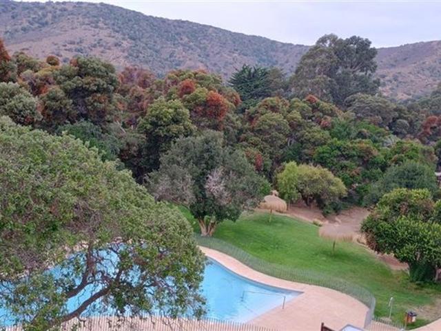 Papudo, Centro de Papudo