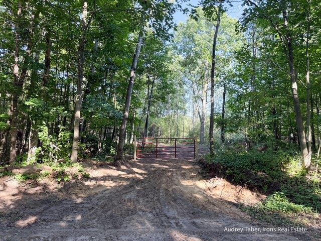 Land for sale in Kaleva, Manistee County