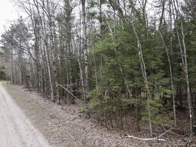 Land for sale in Indian River, Michigan