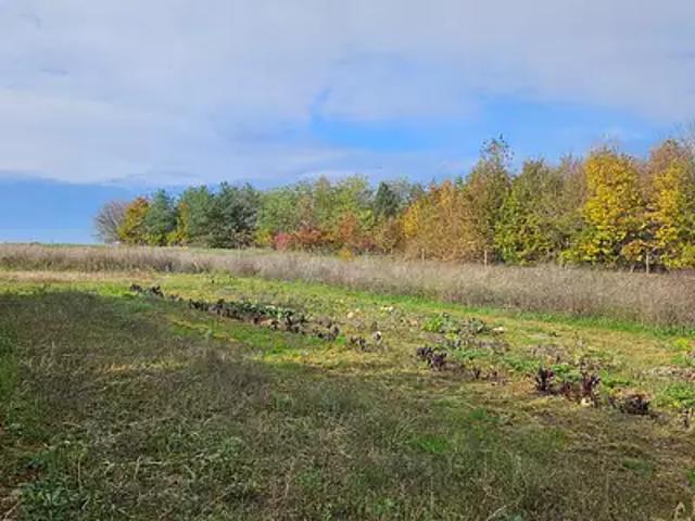 Terrain vente à Tours, Parçay-meslay
