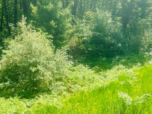 Land for sale in Michigan