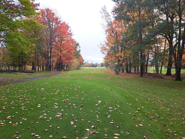 Land for sale in Gaylord, Michigan