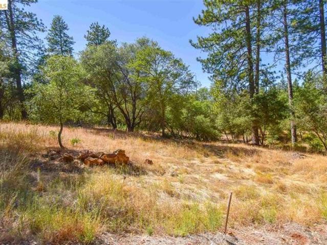Land for sale in Sonora, California