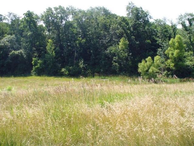 Land for sale in Sherrard, Illinois
