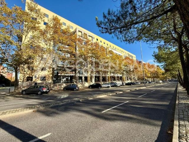 Apartamento alugar em Parque das Nações, Lisboa