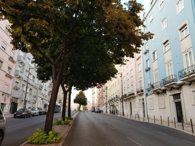 Apartamento alugar em Bairro Portugal Novo, Lisboa