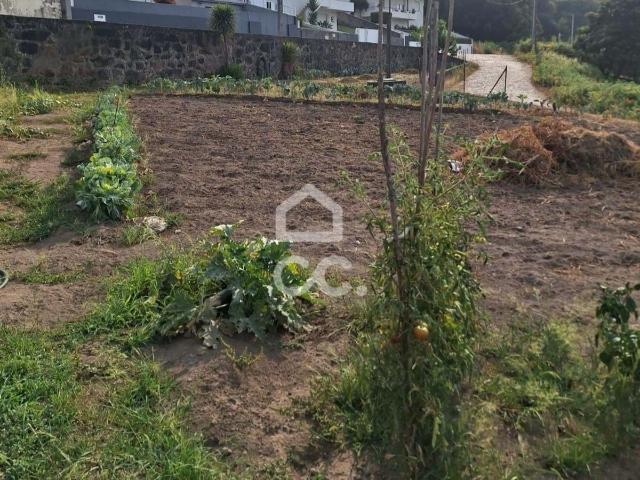Terreno venda em Santo Tirso, Porto