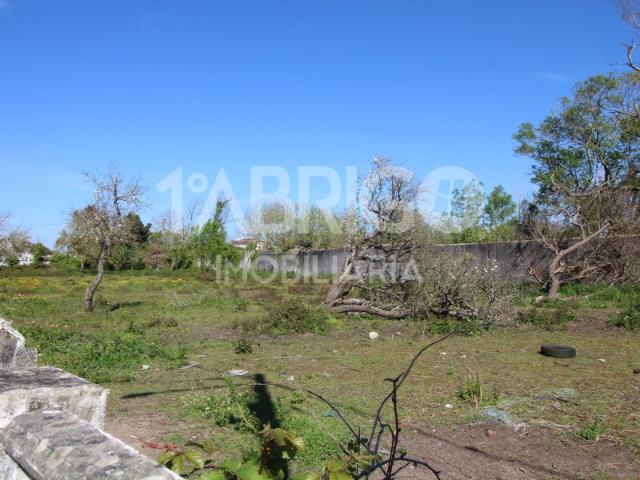 Terreno venda em Salgueira, Marinha Grande