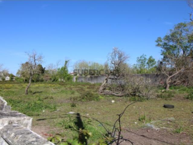 Terreno venda em Salgueira, Marinha Grande