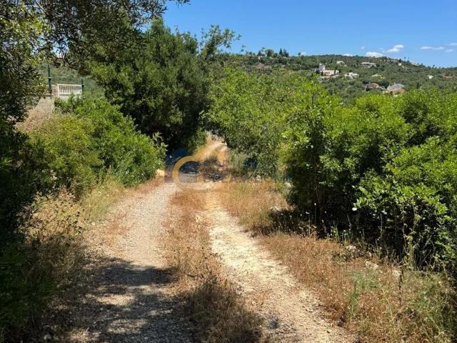 Quinta venda em Ribeiro, Loulé