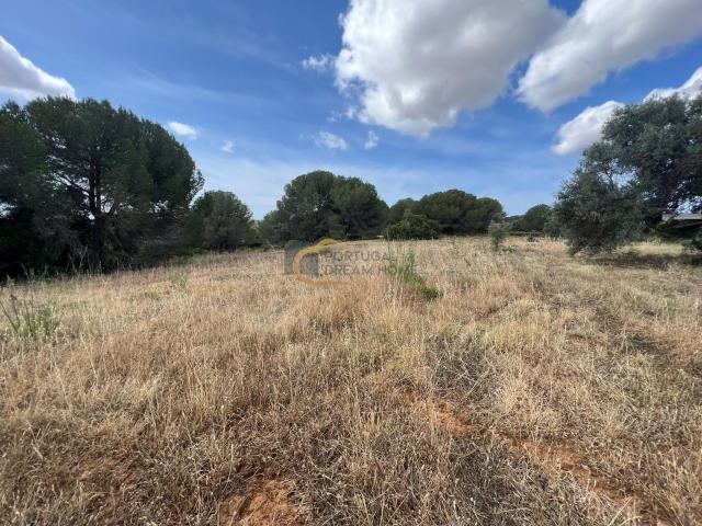 Quinta venda em Agostas, Loulé