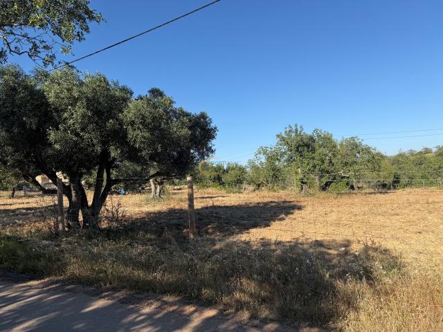 Quinta venda em Vale Serves, Albufeira