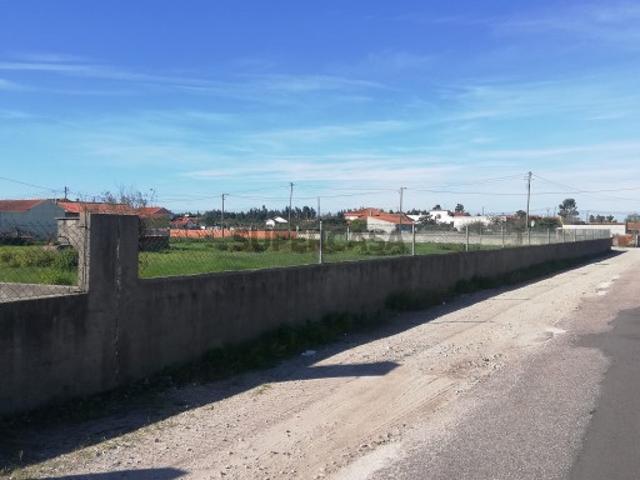 Terreno venda em Parada de Cima, Ponte De Vagos
