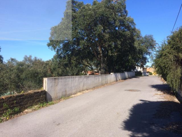 Terreno venda em Recardães e Espinhel, Águeda