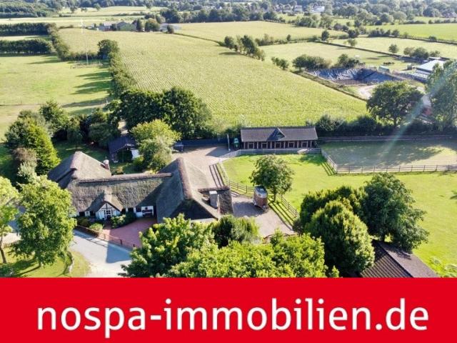 Haus kaufen in Arlewatt, Schleswig-Holstein