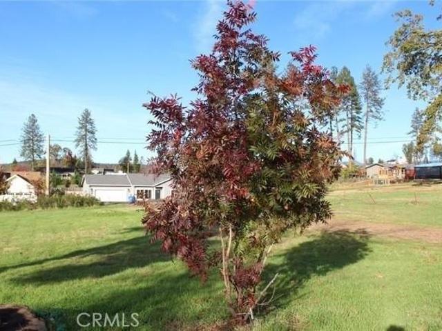 Land for sale in Butte, California