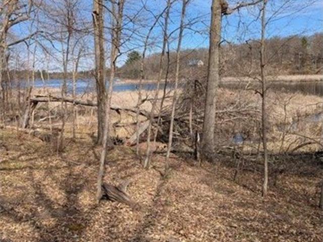 Land for sale in Todd, Minnesota