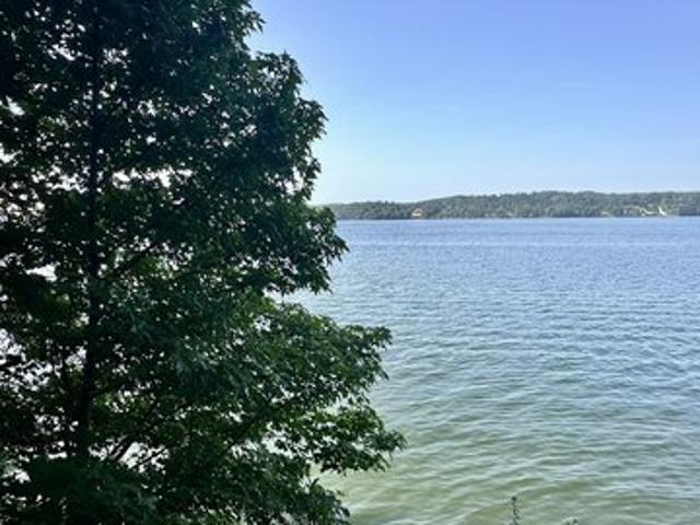 Land for sale in Alabama