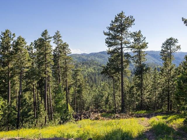 Land for sale in Lead, South Dakota
