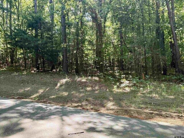 Land for sale in Flint