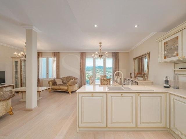 Apartment mieten in Paradiso, Tessin