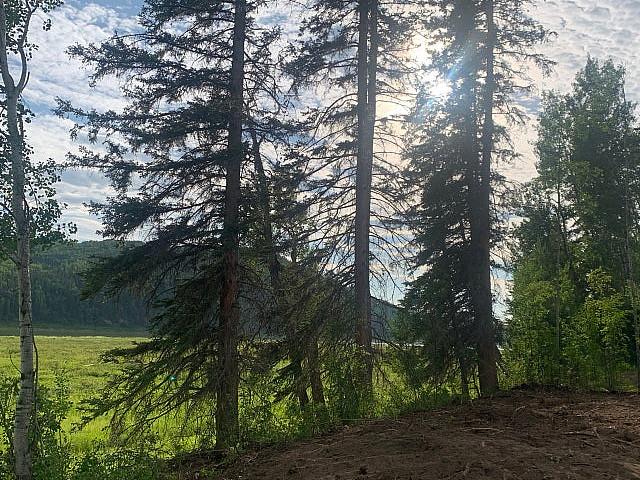 Land for sale in Alberta