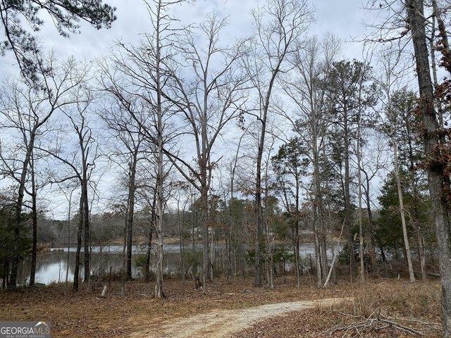Land for sale in Lincolnton, Georgia