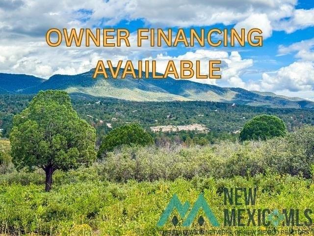 Land for sale in Timberon, New Mexico