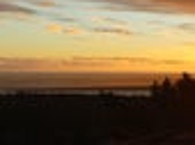 Land for sale in Waikato