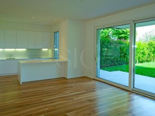 Apartment mieten in Paradiso, Tessin