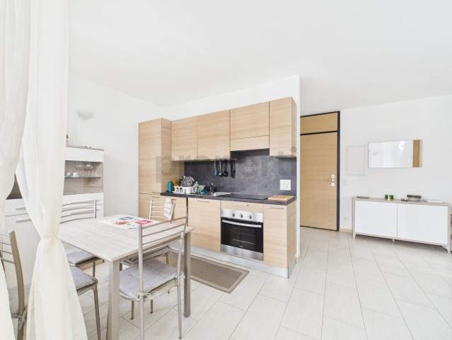 Wohnung kaufen in Paradiso, Tessin