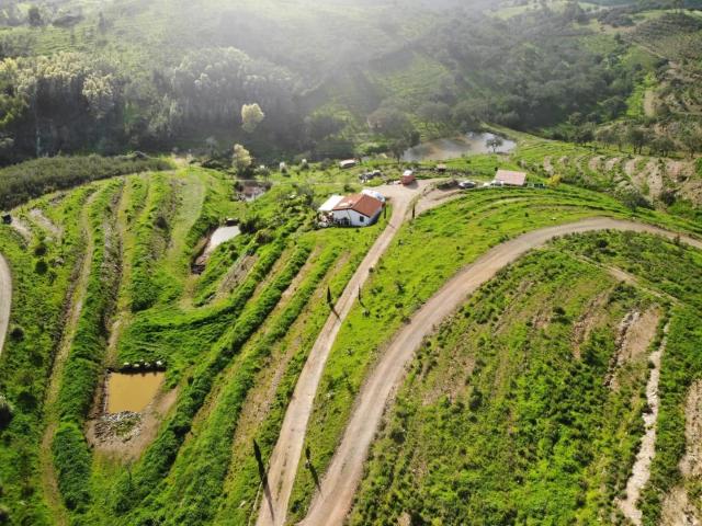 Vivenda venda em Santa Clara-a-Velha, Odemira