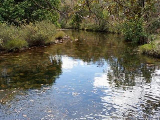 Sítio e chácara venda em Região Geográfica Imediata de Flores de Goiás, Alto Paraíso de Goiás