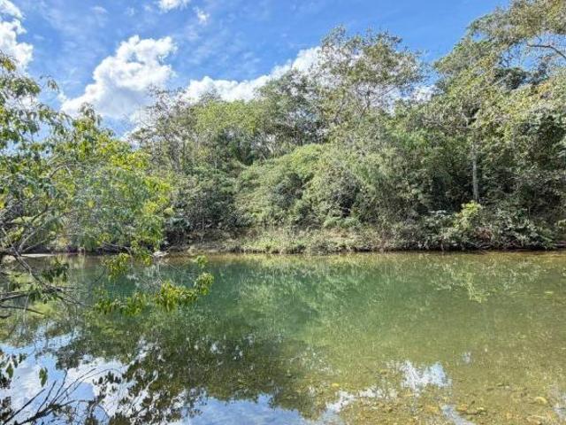 Sítio e chácara venda em Região Geográfica Imediata de Uruaçu - Niquelândia, Colinas do Sul