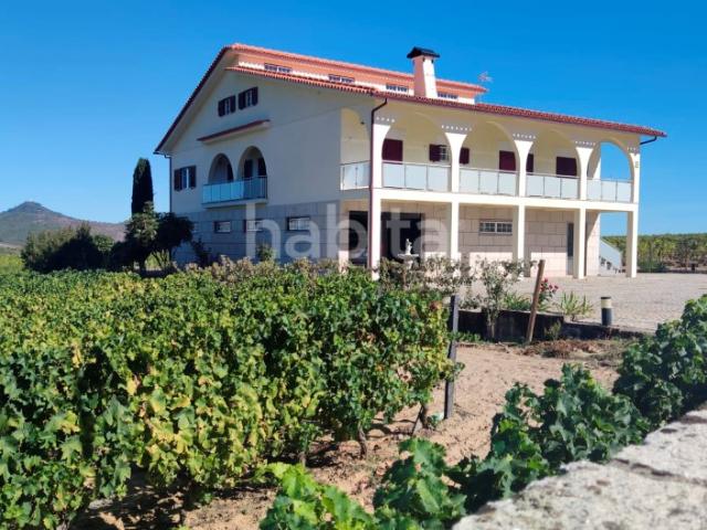 Quinta venda em Alijó, Vila Real