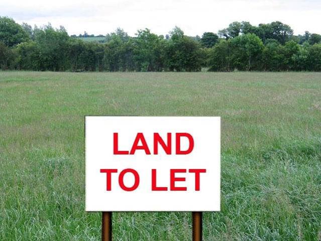 House for rent in Kawau Island