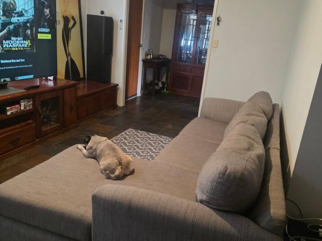 Room for rent in Horseshoe Creek, South Australia
